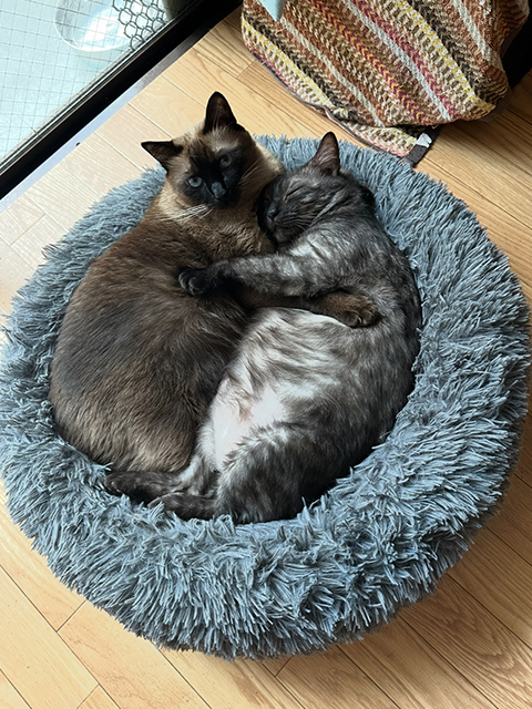 ギャラリー画像