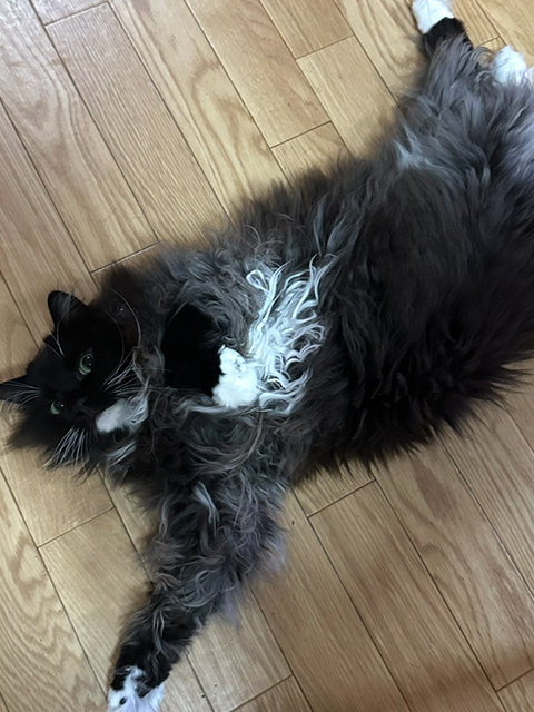 ギャラリー画像